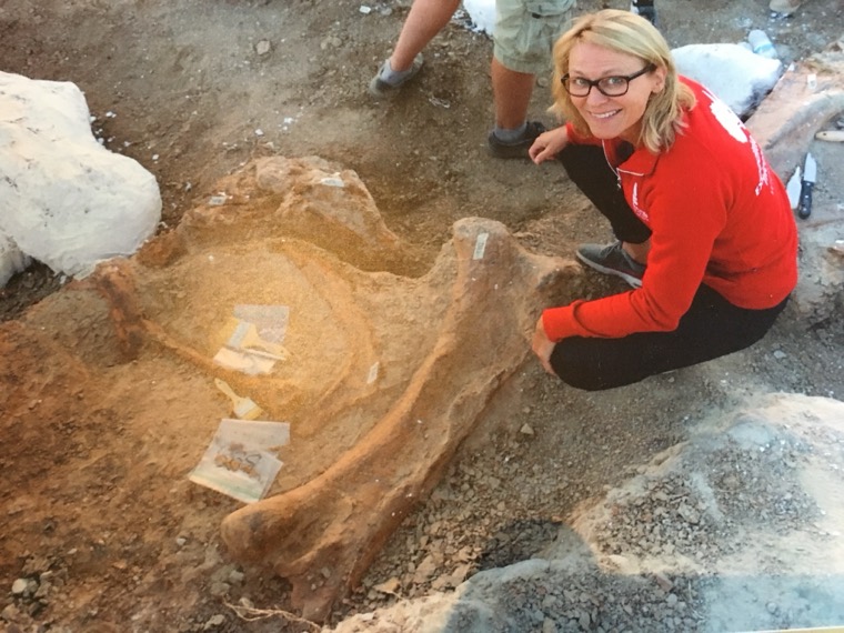 Field research during a Naturalis expedition